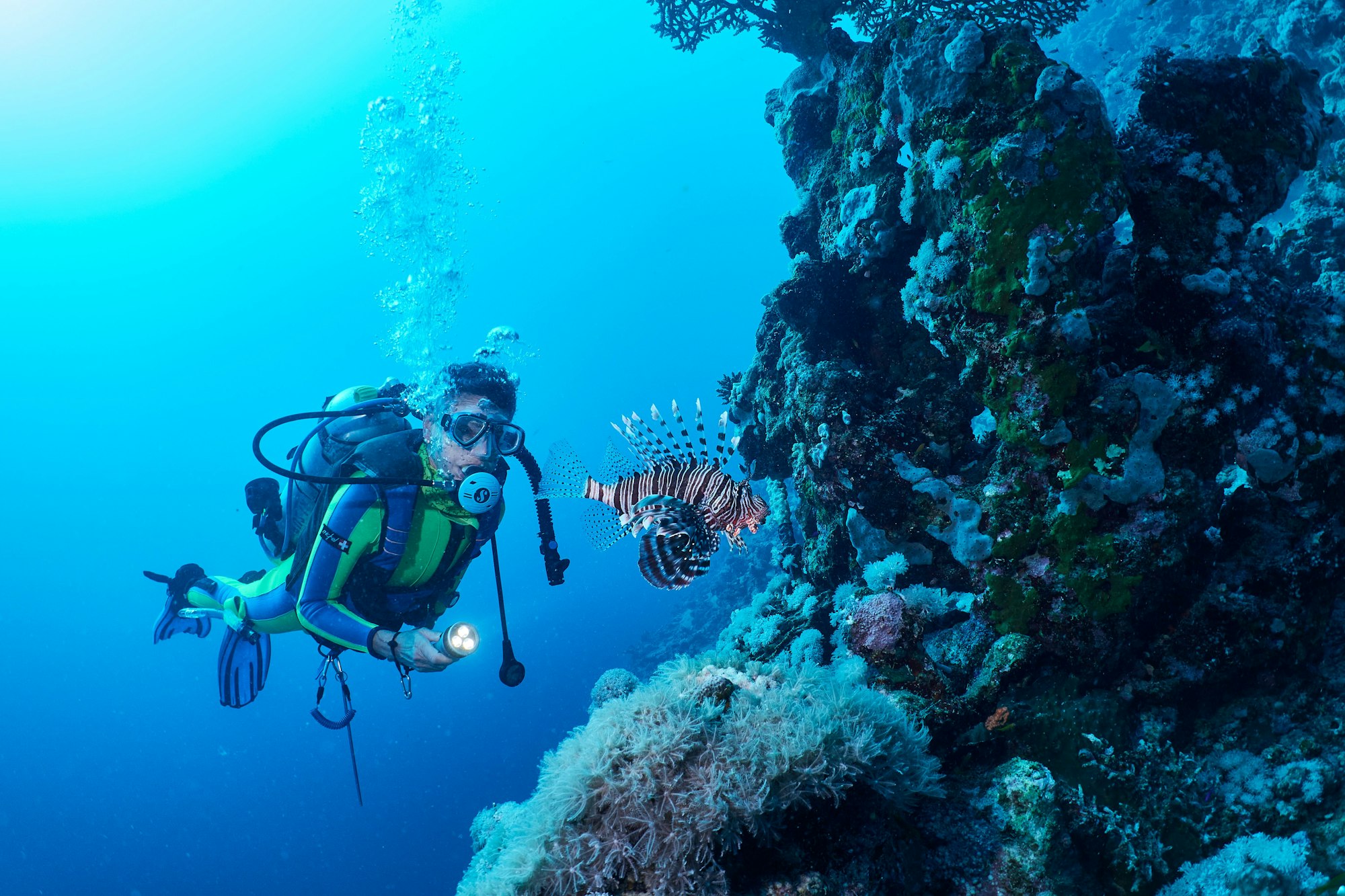 Lion fish and scuba diver in Red Sea, Marsa Alam, Egypt